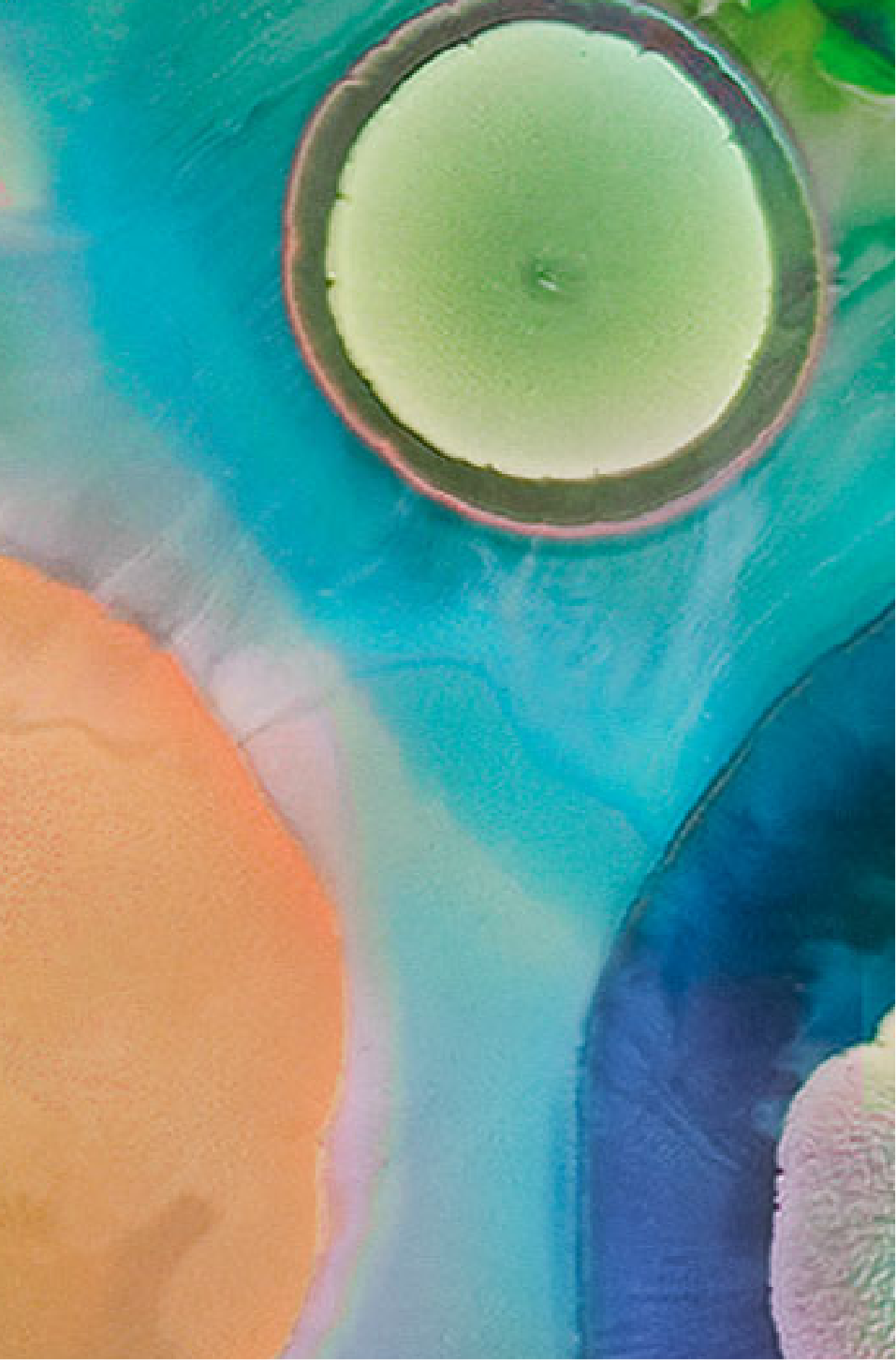 Bifidobacterium longum  35624